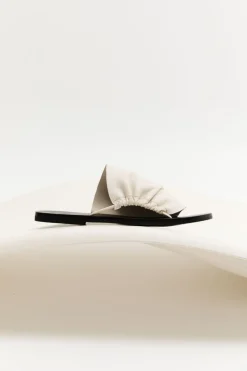 Gathered Slides -|St. Agni New