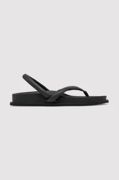 Sling Back Thong Sandal -|St. Agni Shop